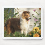 Sheltie in flowers mousepads