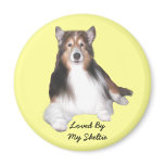 Sheltie Magnet