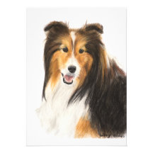 Sheltie or Shetland Sheepdog Painting Personalized Announcement