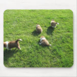Sheltie pups running away mousepad