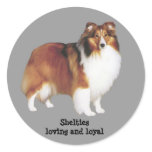 Sheltie Sticker