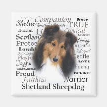 Sheltie Traits Magnets