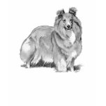 Sheltie t-shirts