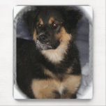 Shep puppy mousepad 3
