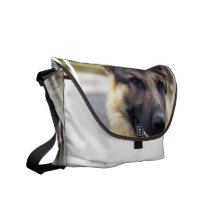 Shepherd Messenger Bag