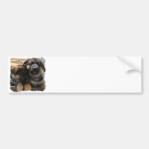 Shepherd Puppies Bumper Sticker