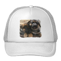 Shepherd Puppies Hat