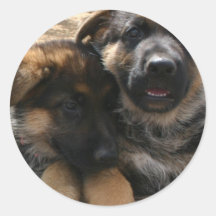 Shepherd Puppies Sticker