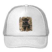 Shepherd Puppy  Baseball Hat