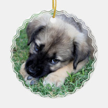 Shepherd Puppy Ornament