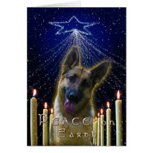 SHEPHERD STAR CARD