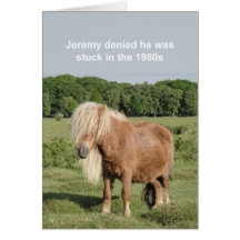 Shetland pony card