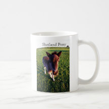 Shetland Pony Coffee Mugs