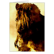 Shetland Pony Greeting Card