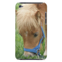 Shetland Pony  iTouch Case iPod Touch Case-Mate Case
