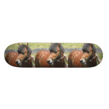 Shetland Pony Skateboard