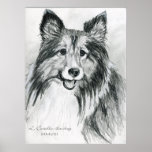 Shetland Sheepdog 1 Print