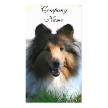 Shetland Sheepdog Business Card