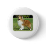 Shetland Sheepdog buttons