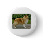 Shetland Sheepdog buttons