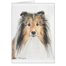 Shetland Sheepdog Greeting Card