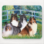 Shetland Sheepdog (four) - Bridge mousepads