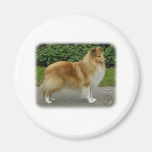 Shetland Sheepdog Fridge Magnet