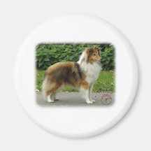 Shetland Sheepdog Fridge Magnets