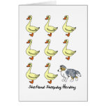 Shetland Sheepdog Herding Ducks Card