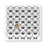 Shetland Sheepdog in the Sheep Magnet