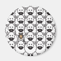 Shetland Sheepdog in the Sheep Magnets