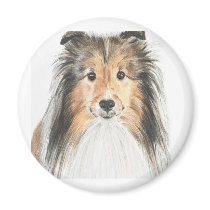 Shetland Sheepdog Magnets