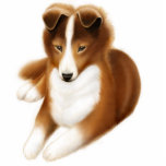 Shetland Sheepdog Pin photo sculptures