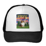 Shetland Sheepdog (sable and white) Hats