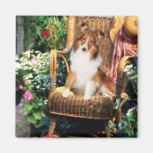 Shetland Sheepdog Sheltie Art Gifts Fridge Magnets