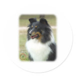 Shetland Sheepdog stickers