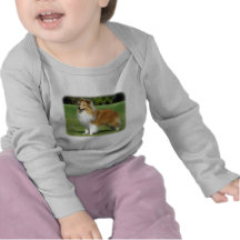 Shetland Sheepdog Tee Shirt