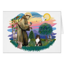Shetland Sheepdog (tri colour) Card