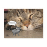 Shhhhhhh... Post Cards