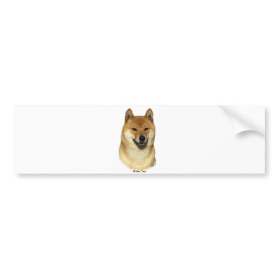 Shiba Inu Bumper Stickers by TraffordPhotos