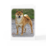 Shiba Inu cards