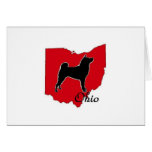 Shiba Inu Club Ohio cards