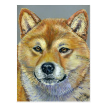 Shiba Inu Dog Art - Suki Postcards