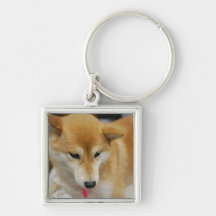 Shiba Inu Dog Keychain