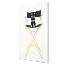 Shiba Inu dog on director's chair Gallery Wrapped Canvas