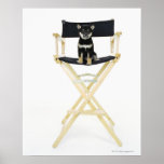 Shiba Inu dog on director's chair Poster