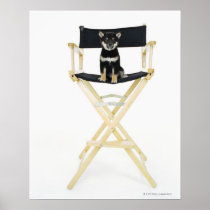Shiba Inu dog on director's chair Poster