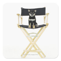 Shiba Inu dog on director's chair Stickers