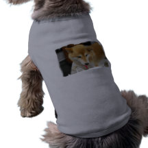 Shiba Inu Dog  Pet Shirt
