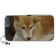 Shiba Inu Dog Speakers